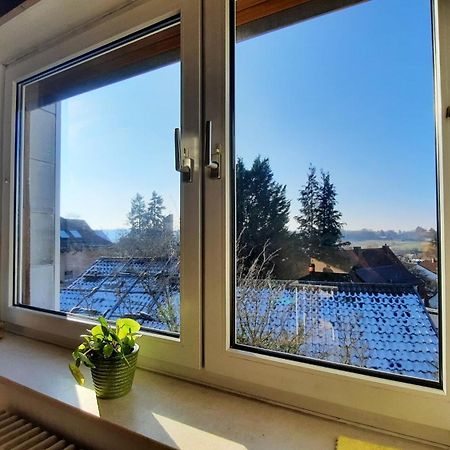 Gemuetliche, Helle Wohnung Im Luftkurort Dansenberg Кайзерслаутерн Экстерьер фото